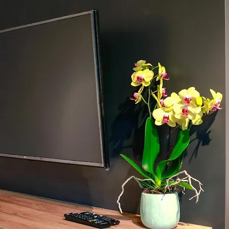 Apartmán Z Ogrodem W Centrum Limanowej